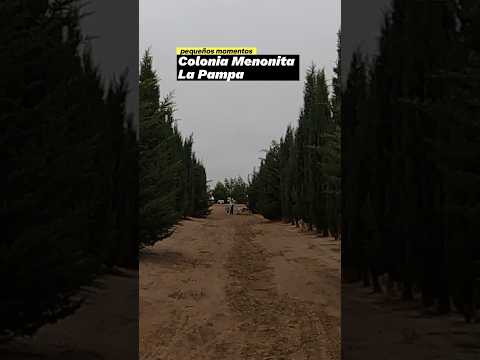 Una vista a la Colonia Menonita de La Pampa, en el video completo, están los detalles #menonitas