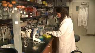 University of Michigan - Division of Gastroenterology and Hepatology