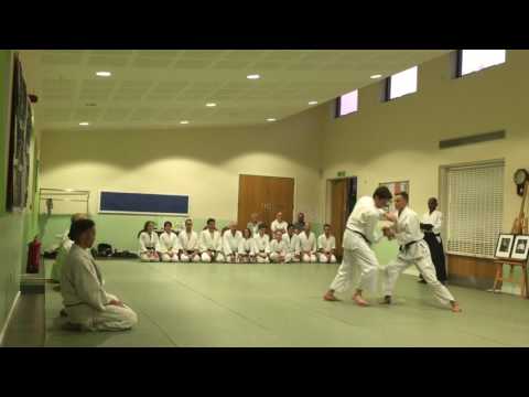 Aikido Shoshinkan 3 Kyu Shinsa