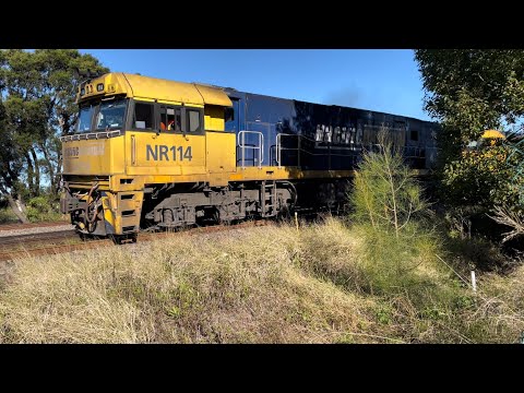 Pacific National NR114, AN8 & NR51 with 3BM4, Maitland - 22/6/22