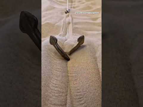 ⚓️ Trying out some old fashioned anchors! #shorts