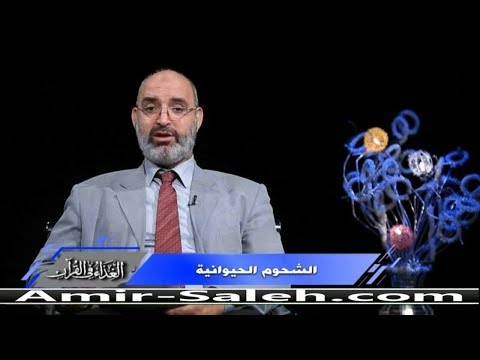 , title : 'فوائد الشحوم الحيوانية | الدكتور أمير صالح | الغذاء في القرآن'