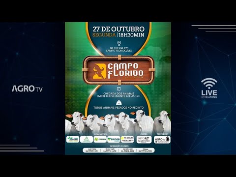 CAMPO FLORIDO LEILÕES