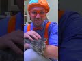 Blippi Cuddles A Sleepy Kitten Shorts