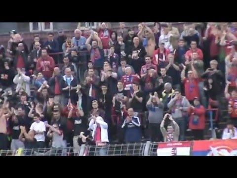 SZUIRKOLÁS VASAS FELCSÚT