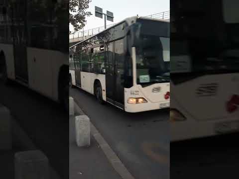 Autobuzul Mercedes Benz-Citaro Euro 3 #4422(linia 162) sosind în stația Calea Giulești