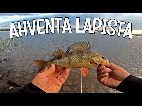 AHVENIA LIPALLA TUNTURIJÄRVESTÄ - LEIKKAAMATON KALASTUSVIDEO