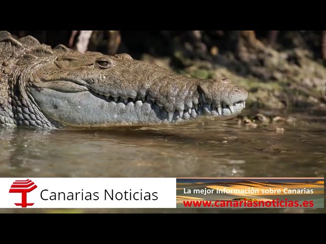 La imborrable huella de los mayas