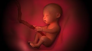 What can your unborn baby hear and feel in the womb?