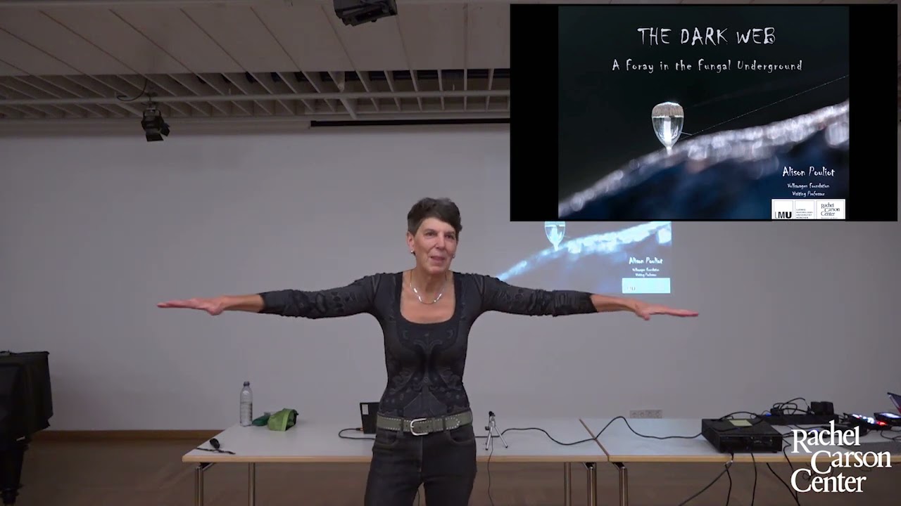 Lunchtime Colloquium with Alison Pouliot