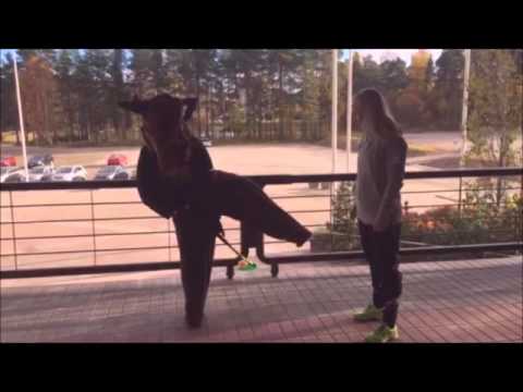 Heimo Hirven veivitreeni: Happee - Koovee