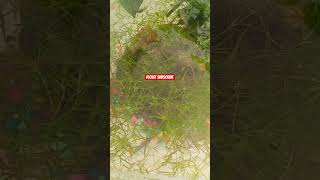 Download lagu please subscribe #jobbiehebriovlogs mp3 Download lagu please subscribe #jobbiehebriovlogs mp3
