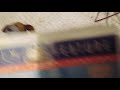 The Little Colonel 1994 VHS Review