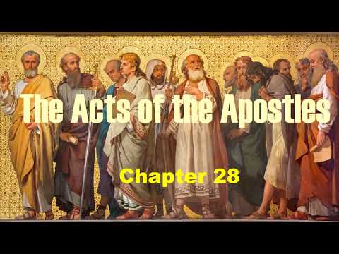 Audio Bible - The Acts of the Apostles: Chapter 28 #TheGospel #Faith #JesusChrist #Grace #apostle