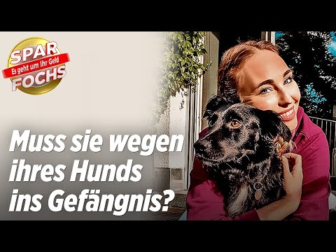 Diesem GZSZ-Star droht der Knast: Hier bekommt sie Hilfe | Der Sparfochs