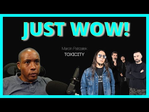 Wow!  - Reaction to Toxicity on One Acoustic Guitar - Marcin Patrzalek (System of a Down)
