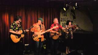 The Austin Lonunge Lizards - Stupid Song About Texas