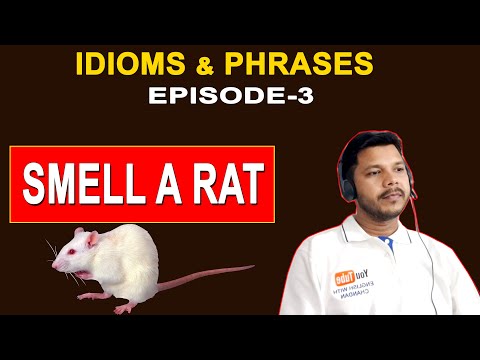 IDIOMS & PHRASES EPISODE -3 || SMELL A RAT