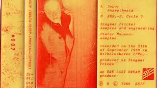 Delta-Sleep-Inducing Peptide - Delta-Sleep-Inducing Peptide (Full Cassette)