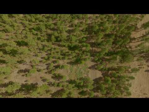 Drohnenaufnahmen von Pe'Sla, einer heiligen Stätte der Oceti Sakowin