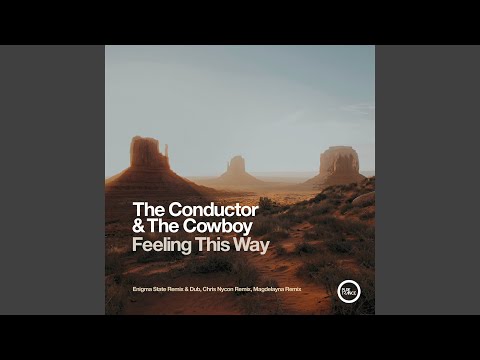 Feeling This Way (Enigma State Extended Remix)
