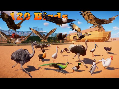120 Birds Escape From Aviary to Noah's Ark Animal Race in Planet Zoo included Ostrich, Eagle, & Duck