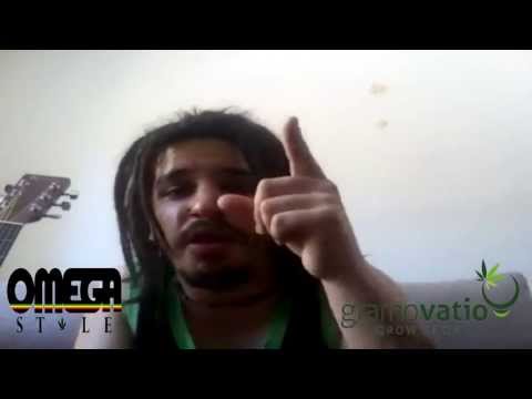 OmegaStyle- jingle para GramoVatio GrowShop