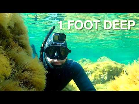 Spearfishing in SHALLOW WATERS: Techniques and Thrills Await!