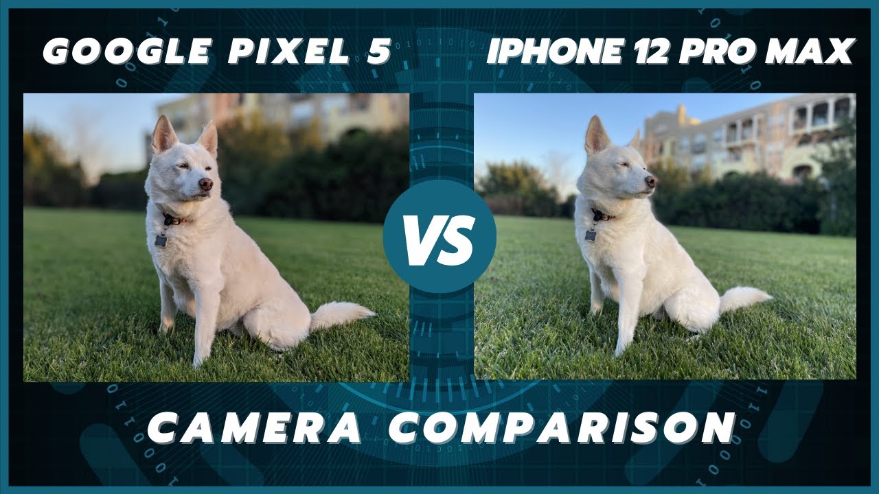Google Pixel 5 vs iPhone 12 Pro Max Camera Comparison