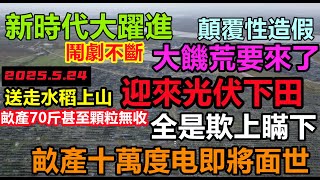 Re: [問卦] 有反美濃水庫的人怎麼沒去反大樹光電的卦