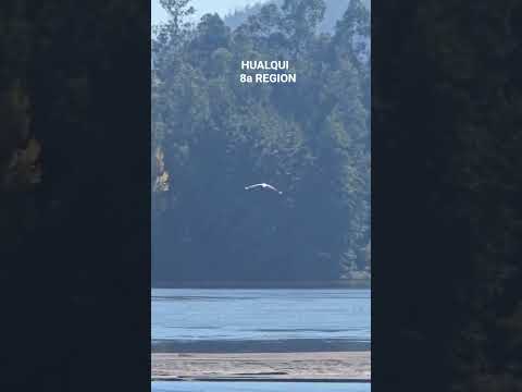 #music #paisajes #concepción #fyp #fypシ #naturaleza #chile #chilenos