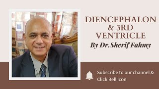 Dr. Sherif Fahmy - Diencephalon & 3rd Ventricle