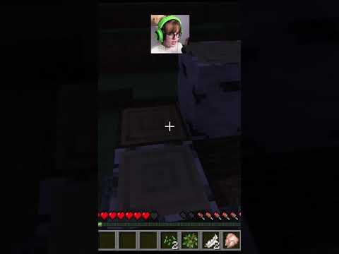 shyphoebe - FAIL: NOOB GAMER GIRL TRYING TO BUILD A HOUSE IN MINECRAFT #Shorts #Minecraft