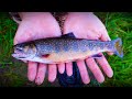Video Thumbnail for My First Ever BROOK TROUT! (Saskatchewan Fly Fishing)