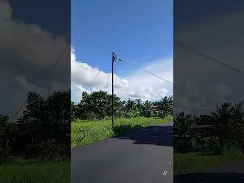 #naturalezafascinante #bocasdeltoro #pueblosindigenas