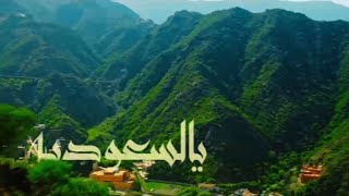 يا بلادي – الفنان راشد الماجد