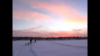 preview picture of video 'Dog Sledding Inuvik NWT'