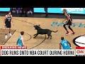 Ridiculous NBA Moments