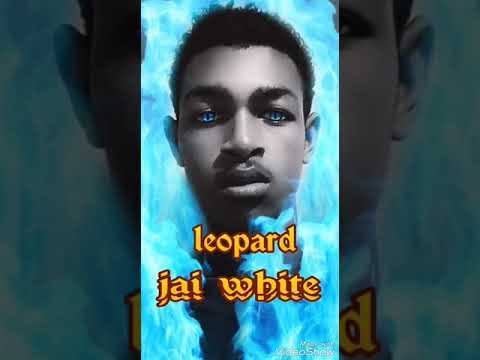 leopard jai bac'andrefa     128kbs officiel