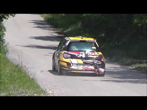 Lazar Milovanovic / Dejan Golic  - 2. Valjevski rally 2021 - Opel Adam R2