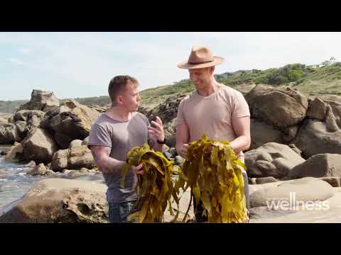 The chef foraging for seaweed and dishing it up on a plate