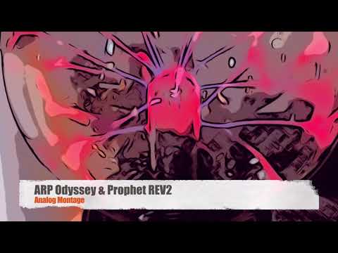 ARP Odyssey & Prophet REV 2 Analog Montage