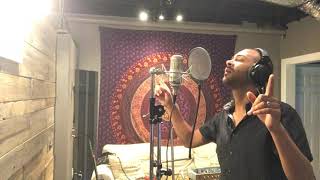 Muse-Big Freeze (MixMike Vocal Cover)