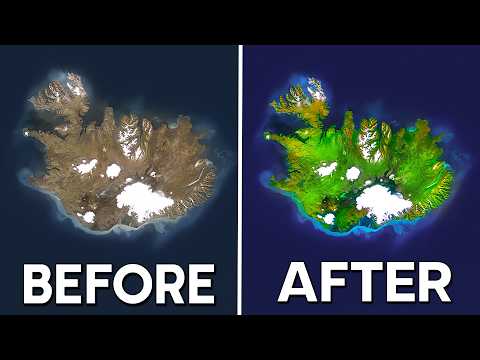 How 3 Million Trees Are Reversing Iceland's 1,000 Year Deforestation Disaster