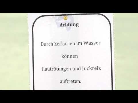 Gesundheitsgefahr: Parasiten in emsländischem Badesee