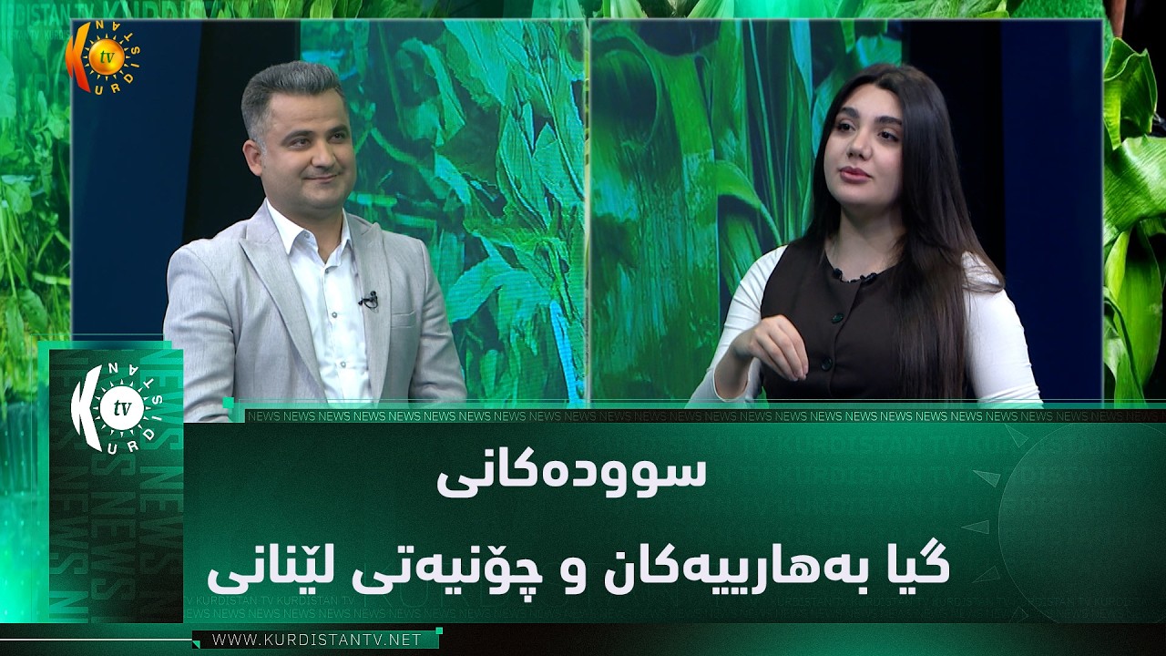 ڤیدیۆ | د  هاوسەر مەنتک باس لە سوودەکانی گیا بەهارییەکان و چۆنیەتی لێنانی دەکات
