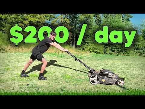 Side Hustle Experiment: Lawn Mowing & Car Detailing — Full B