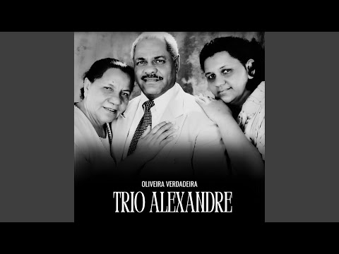 Oliveira Verdadeira (Playback)