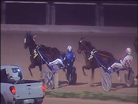 Trotto 08/12/2019 - 8ª corsa