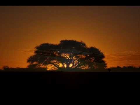 Paulino Ortellado - Ocaso Pampeano - Estilo